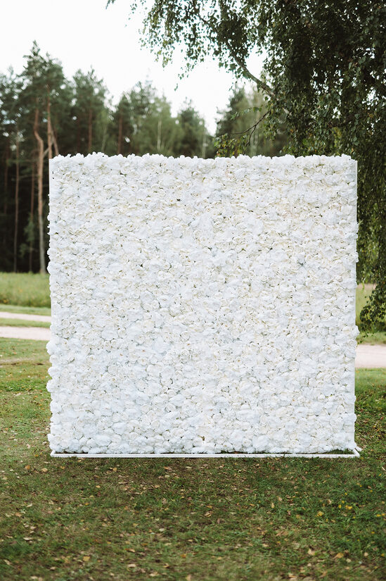Balta ziedu siena ar konstrukciju 250 x 250 cm 
