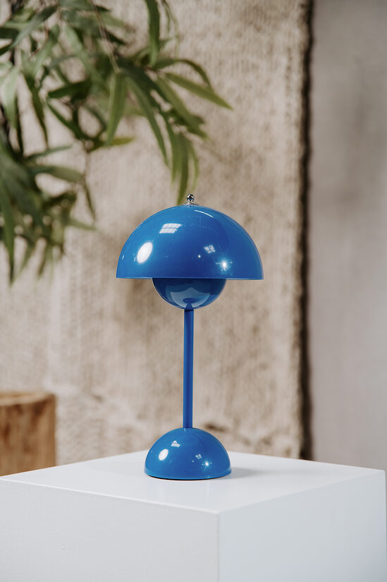 Koši zilas lampiņas 