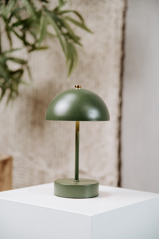 Sūnu zaļas lampiņas lietojamas ar baterijām